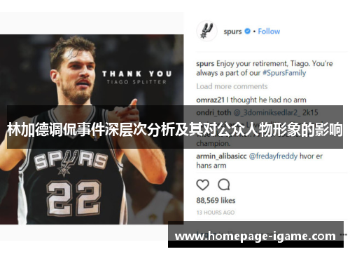 林加德调侃事件深层次分析及其对公众人物形象的影响 林加德调侃事件深层次分析及其对公众人物形象的影响