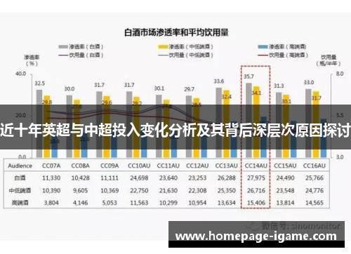 近十年英超与中超投入变化分析及其背后深层次原因探讨 近十年英超与中超投入变化分析及其背后深层次原因探讨