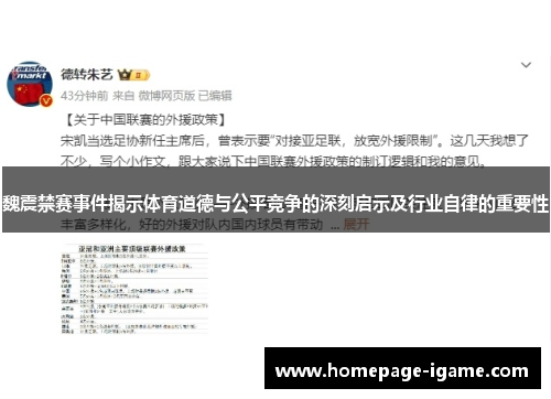 魏震禁赛事件揭示体育道德与公平竞争的深刻启示及行业自律的重要性